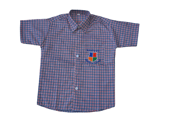 Checks Half Sleeves Shirt | The Lexicon International School